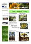Flora da região