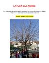 La poda dels arbres