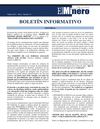 Boletin el Minero Febrero 2011 - Año 1 - Número 13