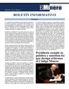 Boletin el Minero Marzo 2011 - Año 2 - Número 14