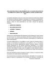 Declaratoria_Jovenes_Colombia_2010[1]