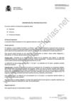 borrador convocatoria