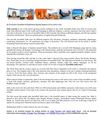 An Exclusive Vacation to Experience Myriad Aspects of Incredible India