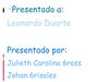Exposicion de mouse