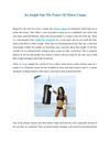 An Insight Into The Future Of Fitness Camps