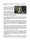 Belize Real Estate: Sanctuary Belize Is for People Who are Passionate About Nature 