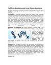 Toll Free Numbers and Local Phone Numbers