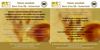 TRADIZIONE E SUCCESSO DA OLTRE 2600 ANNI 