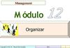PGG_12_ Organizacion