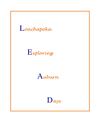 LEAD Media Kit