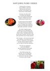 Sant Jordi 2011