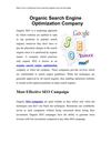 Organic Search Engine Optimization Company