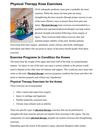 Physical Therapy Knee Exercises, New York City Physical Therapist