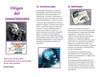 origen del conocimiento