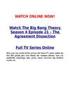 Watch The Big Bang Theory Season 4 Episode 21 – The Agreement Dissection - Online TV