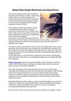 Belize Real Estate Rainforest and Beachfront