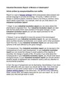 Industrial Revolution Report: A Miracle or Catastrophe?