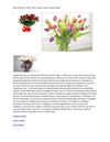 Send Flowers to India, Cakes to India, Online Gifts to India