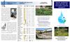 Toledo - Lucas County Rain Gardens