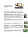 MD: Calvert County: Native Plants for Rain Gardens