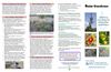 ND: Rain Gardens Brochure