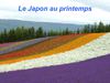 Le Japon au printemps