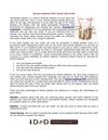 ••••••> Dental implants NYC: Smile with Pride