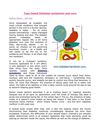 Type based Diabetes symptoms and cure