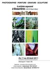 IMAGIN'ARBRES