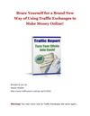 Traffic Exchanges Profit Report