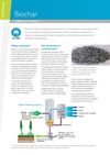 Biochar 2