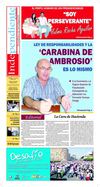 Periodico Independiente Edicion 232