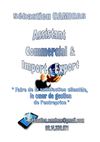 CV Assistant Import Export / recherche PAE (stage) du 6/6/11 au 13/7/2011