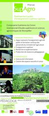 totemsFinaux