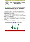  natural head lice treatment - how to get rid of head lice - home remedies for head lice