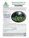Sustainable Corn and Soybean Production