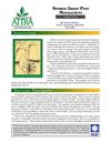 Stored Grain Pest Management