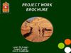 PROJECT WORK 7th graders