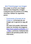 Pegar una imagen en el foro