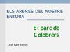 Els arbres del Parc de Colobrers