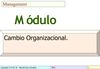 PGG_16_Cambio_organizacional