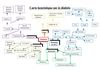 Carte heuristique sur le diabète