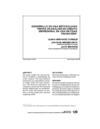 METODOLOGIA IMPLEMENTACION SCORING