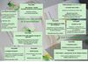Programmes d'animations de juin 2011