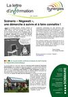 Lettre d'info SYNERGIES - avril 2011