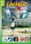 Lev Hair Meteor 12
