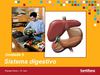 unidade 5 - sistema digestivo
