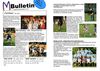MBulletin 11