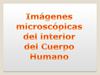 imágenes cuerpo humano