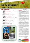 Le Maillon N°26